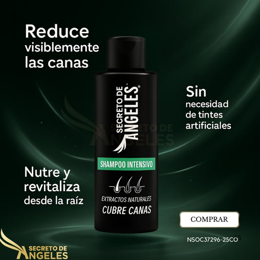 SHAMPO CANAS SECRETOX 1UN+2OBSEQ